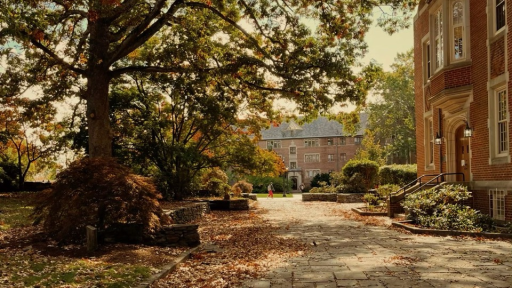 ⊱ ۫ ׅ ✧ 𝐡𝐚𝐥𝐜𝐲𝐨𝐧 𝐜𝐨𝐥𝐥𝐞𝐠𝐞 𝐨𝐟 𝐭𝐡𝐞 𝐚𝐫𝐭𝐬 Discord server banner