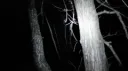 t̲ he operation 16+ Discord server banner