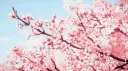 ๐๐๐: ๐๐๐๐๐ ๐๐๐๐๐๐ ๐
๐๐๐ Discord server banner