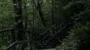 The Woodland Meadows server banner