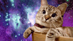 Hooligans server banner