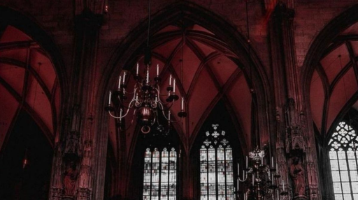 sunny's followers Discord server banner