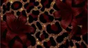 🌺Hibiscus Haven🌺 server banner