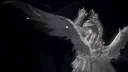◜ ♡ॱ𓏽 ʙᴜɴɴɪ ᴅᴇɴ ₎₎ Discord server banner
