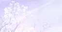 Lilac Discord server banner