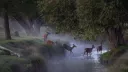 Deer landia :3 Discord server banner