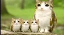/perk ;fg Discord server banner
