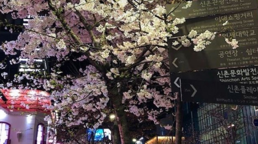 /angellical Discord server banner