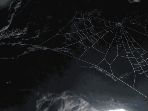 /rapture Discord server banner