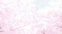 house of lily Discord server banner