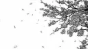 Parašyte Discord server banner