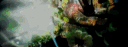 /heny banner