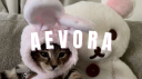 aevora Discord server banner