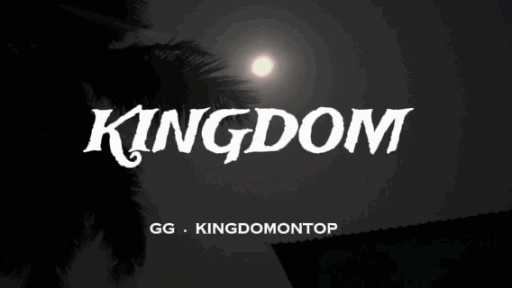 KINGDOM | Chill﹒Hangout﹒Social﹒Fun﹒Vc﹒Chatting﹒Pfps﹒Banners﹒🧃 Discord server banner