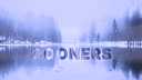 ⌀ Gooners banner