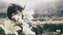 evil xo crew nation server banner