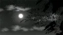Ethereal Waves | Anime • Nitro • Dating • Gaming • Chill Discord server banner