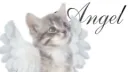 taelynn's web server banner