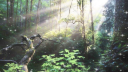 Tekk server banner