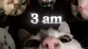 ' 3 𝖆𝖒 ' server banner