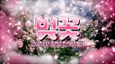 벚 꽃  : 桜