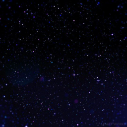 Nightcord server banner