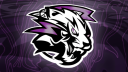 Pearl Tiger Esports [PTE] Discord server banner
