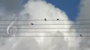 ࣪ ۫𓂅 music ! orpheus . ⟢ Discord server banner