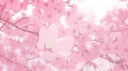 YumeHQ Discord server banner