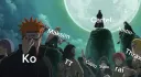 it's raining cats and dogs banner