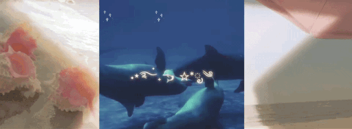 ⋆。𖦹°⭒ summer time 🌺 🌸 Discord server banner