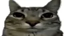 The Holy Order of Anime Gaming server banner
