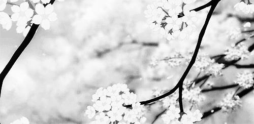 ʙᴇᴀɴ ᴄᴏᴍᴍᴜɴɪᴛʏ Discord server banner