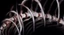 𓏵‧₊˚ ┊ᴛʜᴇ ʙᴏᴛᴛᴏᴍʟᴇꜱꜱ ᴘɪᴛ ´ server banner