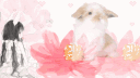 /azalea decor, gws, social ・╭ banner