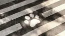 BASTTIE World - .gg/fur-nr Discord server banner