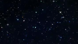 ✨💕 мαple ѕyrυp server banner