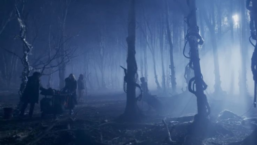 ⋆ ̊. ᝰ CELESTIAL .ᐟ Discord server banner