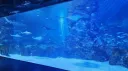 squid tunnel Discord server banner