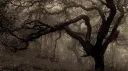 Ancient banner
