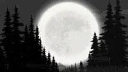 The Witches Coven server banner