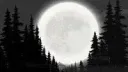 The Witches Coven server banner
