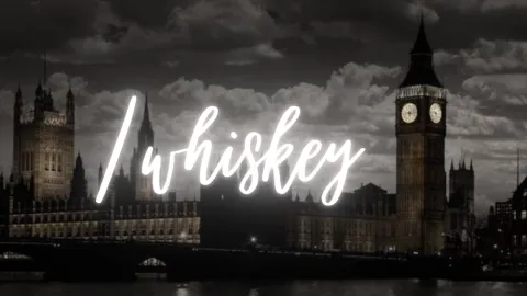 The Whiskey™ | Chill・Social・Sfw・Fun・Active・Nitro・ Vcs banner