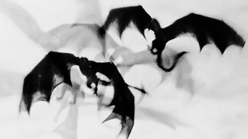 𝑻𝙃𝑬 𝑫𝙍𝑨𝙂𝑶𝙉'𝙎 𝙍𝑼𝙄𝑵 Discord server banner