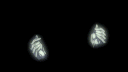 i gotta /stack banner