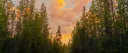 ⋆˚꩜｡𝘛𝘩𝘦 𝘞𝘢𝘯𝘥𝘦𝘳𝘦𝘳𝘴 𝘞𝘰𝘰𝘥𝘴⋆˚꩜｡ server banner