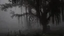 /fog banner