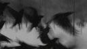 𝕌𝕄𝔹ℝ𝔸𝔼 | 𝕀𝔻𝕍 server banner
