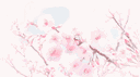 𝑀𝒶𝒾 | 𝒩𝑒𝓌 𝐵𝑒𝑔𝒾𝓃𝓃𝒾𝓃𝑔𝓈 banner