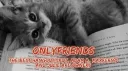 𝘖𝘯𝘭𝘺𝘧𝘳𝘪𝘦𝘯𝘥𝘴 ◡̈ server banner